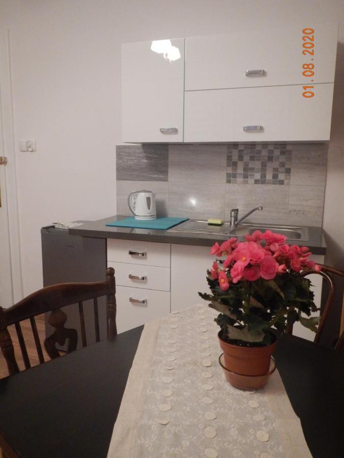 Apartament Providentia Zakopane Witkiewicza 3 Buitenkant foto