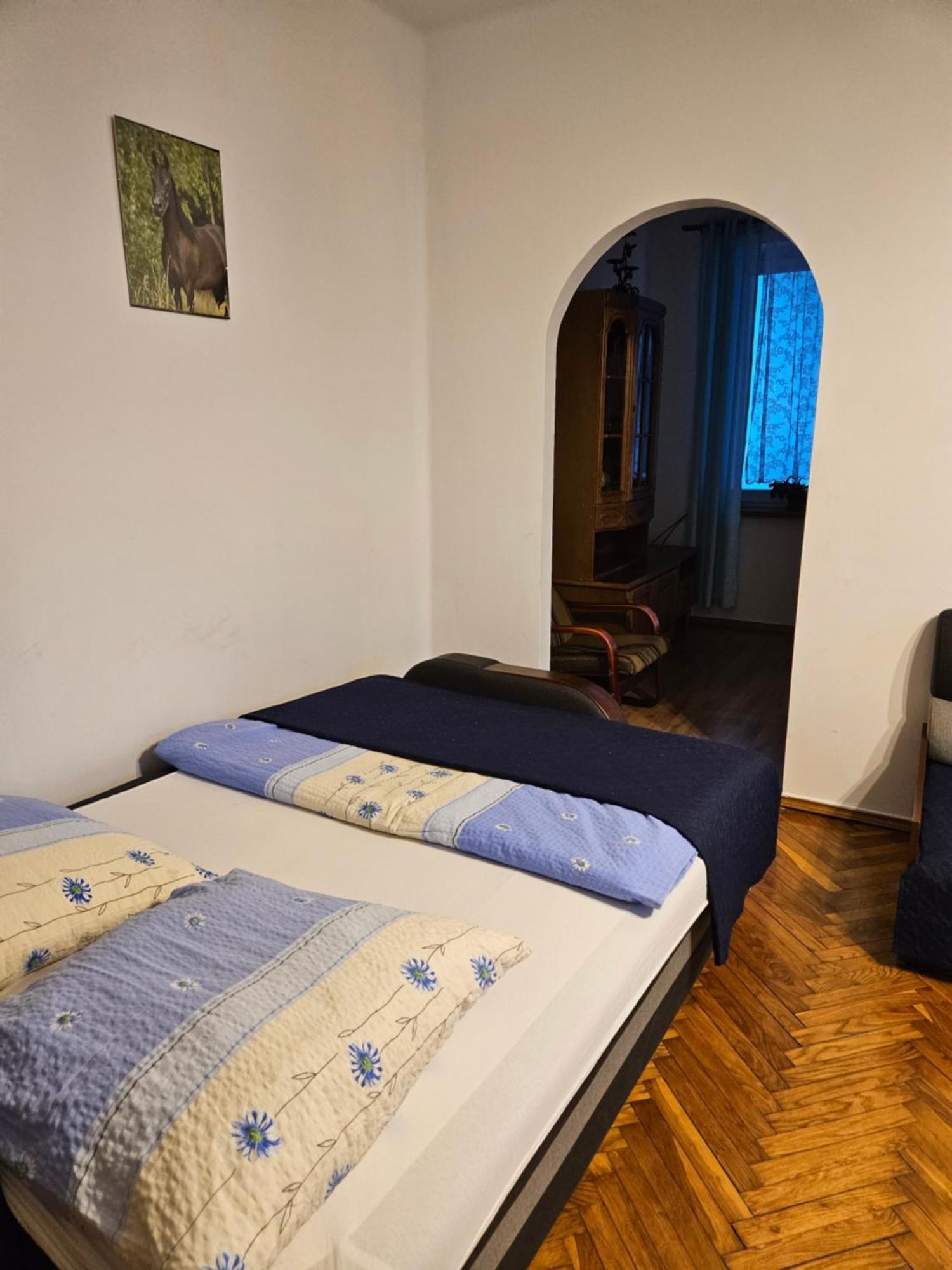 Apartament Providentia Zakopane Witkiewicza 3 Buitenkant foto