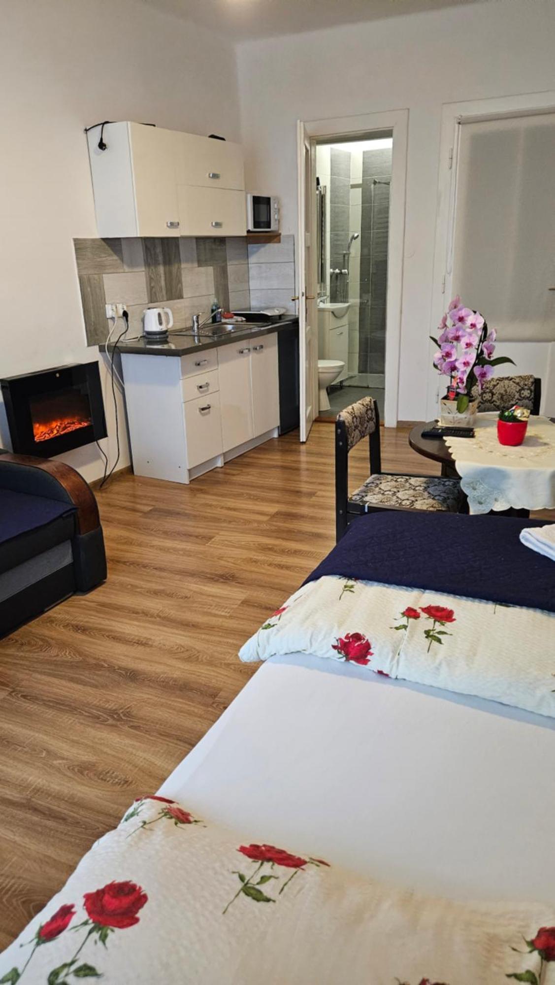 Apartament Providentia Zakopane Witkiewicza 3 Buitenkant foto
